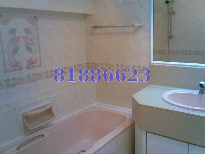 Tanglin Park (D10), Condominium #63290902